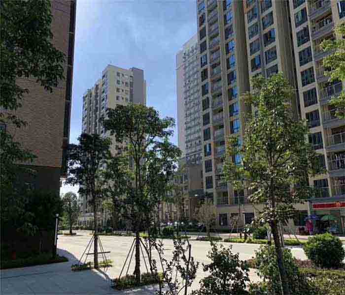 松崗村委統建樓：匯豐花園