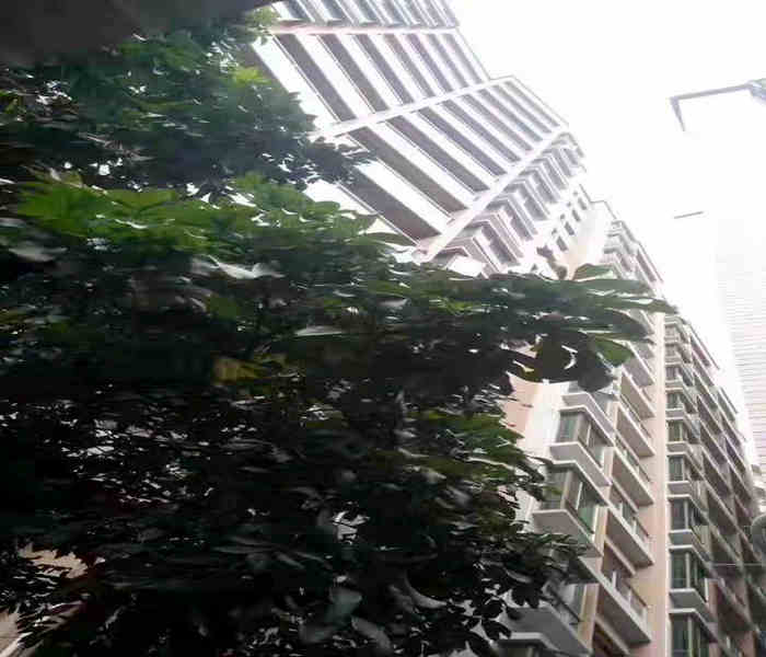 公明小產(chǎn)權房新樓盤：馬田大廈