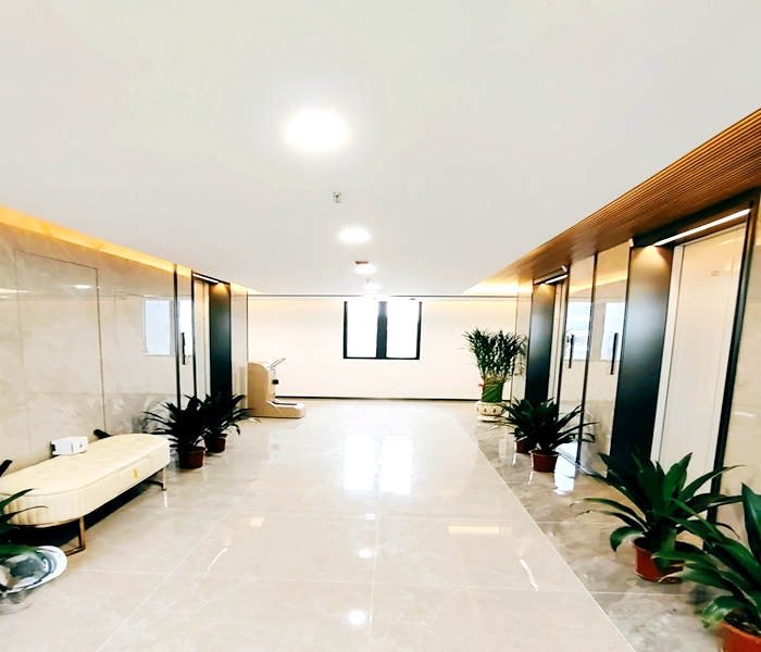 寶安小產權價格-包包樹批發